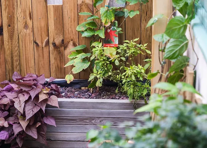 Lägenhet L'alcove Romaine *